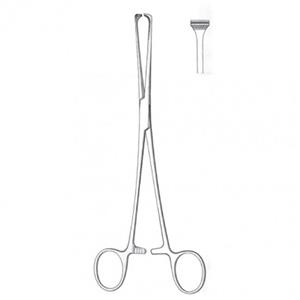 پنس آلیس 16 سانتی‌ متری