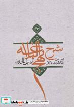 کتاب شرح نهج البلاغه ج 17شومیز - اثر ابن ابی الحدید - نشر نیستان