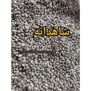 شاهدانه خام (شادونه یا شاهدونه) 100 گرمی کد01