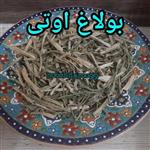 بولاغ اوتی (علف چشمه یا بولاقوتی) 100 گرمی کد01