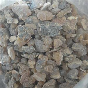 لبان الذکر حوجری (لبان نر) فله ای