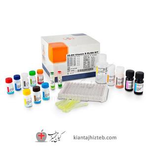 کیت هورمون Vitamin D با 96 تست برند پیشتاز