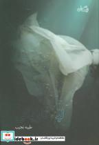 کتاب لبه تاریکی (ادبیات برتر،رمان101) - اثر طیبه نجیب - نشر نیستان