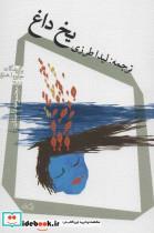 کتاب یخ داغ (مجموعه داستان) - اثر استوارت دایبک و دیگران - نشر نیستان