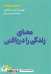 کتاب معنای زندگی را دریافتن(هنوز) - اثر موسسه‌ی مدرسه زندگی - نشر هنوز