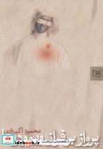 کتاب پرواز بر فراز ویوودینا  - اثر محمود اکبرزاده - نشر قدیانی