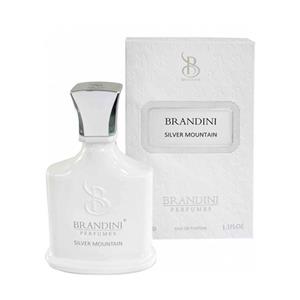 عطر جیبی زنانه و مردانه برندینی مدل Silver Mountain حجم 33 میلی لیتر 