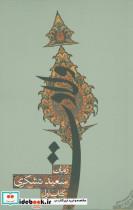 کتاب ولادت (متون فاخر،رمان36) - اثر سعید تشکری - نشر نیستان