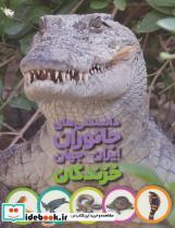 کتاب مجموعه دانستنی های جانوران ایران و جهان اثر محمد کرام الدینی نشر طلایی