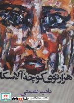 کتاب هزارتوی کوچه آلاسکا (داستان ایرانی) - اثر ناهید عصمتی - نشر روزنه
