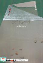 کتاب زیبایی و دریغ(سیب سرخ) اثر مجید عطاری نشر 