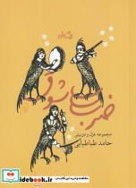 کتاب ضرب شوق(مجموعه‌غزل‌و‌دو‌بیتی)نیستان - اثر حامد طباطبایی - نشر نیستان