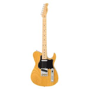گیتار FGN Fujigen J-Standard Iliad JIL-ASH-M Vintage Natural