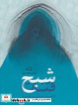 کتاب شبح قنات (مجموعه داستان) - اثر فاطمه رضایی برفوئیه - نشر نیستان