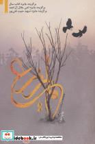 کتاب لم یزرع (متون فاخر،رمان42) - اثر محمدرضا بایرامی - نشر نیستان