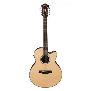 گیتار Ibanez AEL108MD-NT