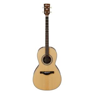 گیتار Ibanez AVT1-NT