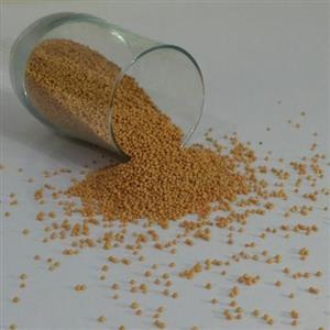 دانه خردل زرد (250 گرمی) کد01