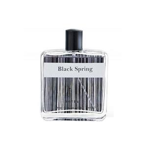 ادکلن مردانه بلک اسپرینگ اصل Black Spring