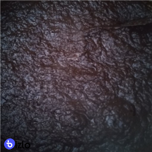 رب آلوچه ملس کنکوک 950 گرم