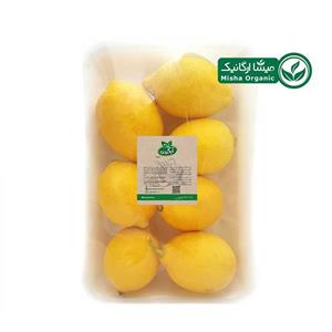 لیمو ترش آبگینه 800 گرم