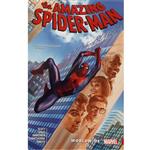 کتاب Amazing Spider-Man اثر Stuart Immonen انتشارات مارول