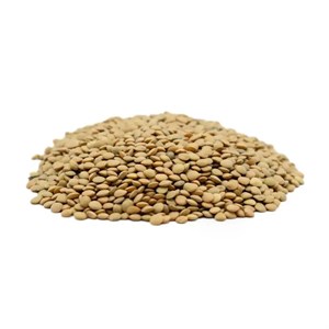 عدس ریز900گرم