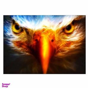 تابلو شاسی ونسونی طرح Eagle Art سایز 50 × 70 سانتی متر