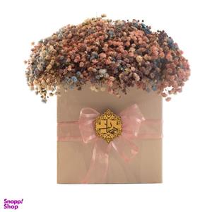 سبد گل طبیعی عروس هفت رنگ هیمان کد B209