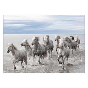 تابلو شاسی ونسونی طرح Horses At The Sea سایز 50x70 سانتی متر