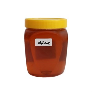 عسل چند گیاه فدک -1 کیلوگرم