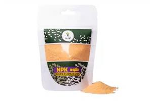 کود کامل گیاهان آپارتمانی مدل NPK 20-20-20 وزن 1 کیلوگرم