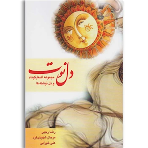 کتاب دل نوت اثر رضا رجبی