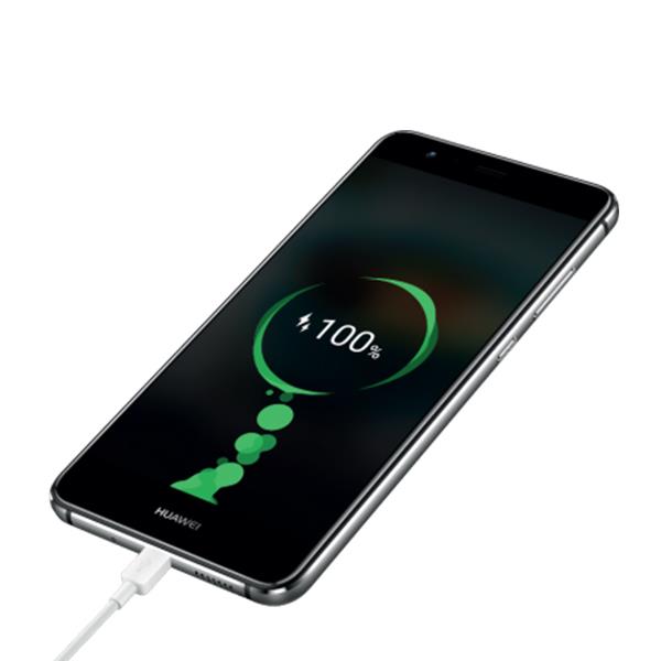 Huawei P10 Battery