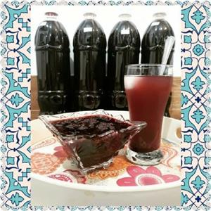 شربت تمشک جنگلی 1200 گرمی