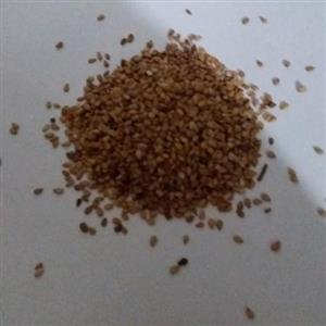 کنجد شمال 200 گرمی