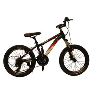 دوچرخه کوهستان لاودیس مدل 20163 سایز 20