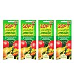 لوسیون برنز کننده فلورسان مدل SOFT MANGO NECTAR حجم 15 میلی لیتر بسته 4 عددی