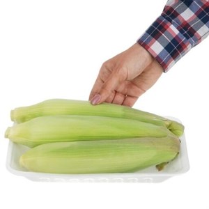 ذرت بلال ارگانیک