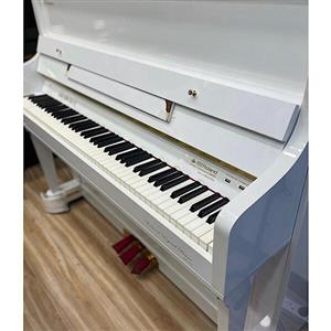 پیانو دیجیتال رولند طرح آکوستیک Roland FP-10 Plus 