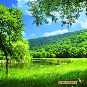 پرده بامبو تصویری کد ۱۰۹۹