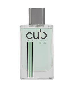 عطر مردانه اودورا Odora مدل Curb Wild حجم 100 میلی‌لیتر