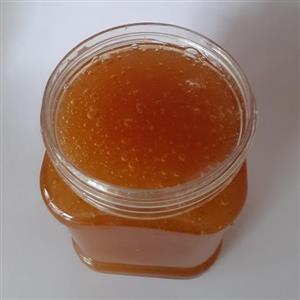 معجون نیم کیلو عسل 100 درصد طبیعی و 30 گرم ژل رویال 