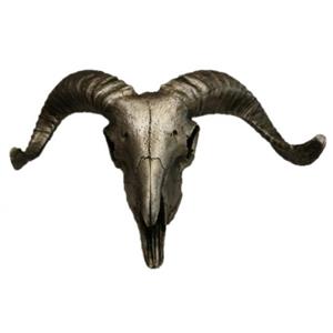 مجسمه طرح جمجمه شاخدار کد GH-1076