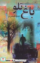 کتاب بر فراز عقل و عشق (امام محمد غزالی و شیخ احمد غزالی) - اثر حشمت الله ریاضی - نشر علم