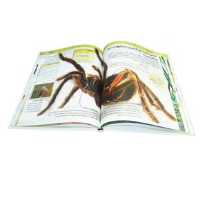 کتاب آیا می‌دانید اثر جمعی از نویسندگان انتشارات کمال اندیشه