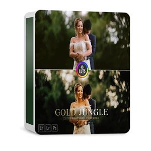 پریست رنگ Gold Jungle Preset