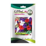 بذر گل اطلسی ایرانی گل درشت پرگل الوان گلبرگ پامچال کد GPF-019
