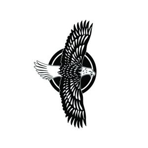 برچسب بدنه خودرو طرح عقاب