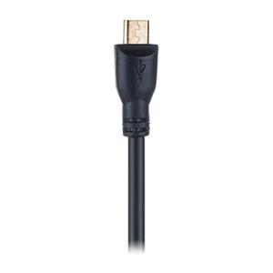 کابل تبدیل USB به microUSB پی نت مدل Gold طول 1.5 متر Pnet to Cable 1.5m 